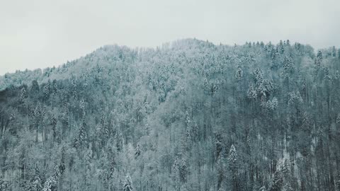 Lot zimą | Opowieści z Narnii