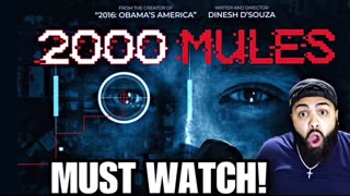 2000 Mules Full Movie REACTION! DID THEY ACTAULLY STEAL THE ELECTION?