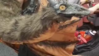 I met a dragon!!!