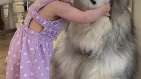 cute baby girl cuddling with puppy while mother forbidding him