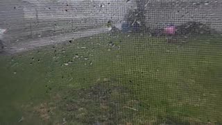 Illinois Storm Sends Things Flying Through The Air