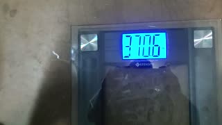 Weigh-In Feb 5, 2024