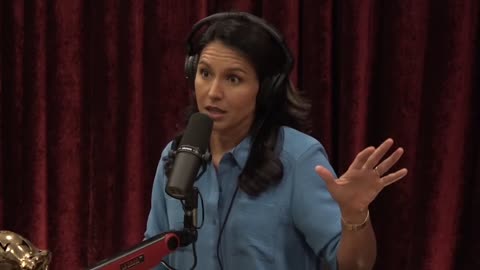 Tulsi Gabbard on Ukraine and the Military Industrial Complex|Russia|War