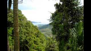 Big Buddha -2008