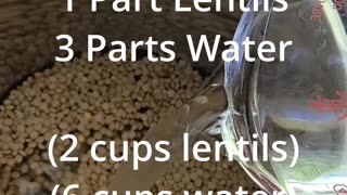 Simple & Healthy No-Soak Lentils by the Blueprint