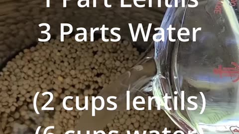 Simple & Healthy No-Soak Lentils by the Blueprint