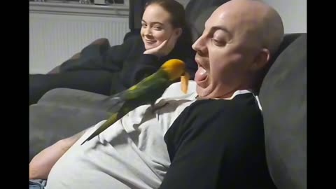 these two understand each other 😁🦜