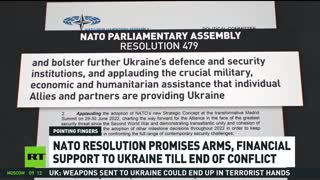 NATO Assembly Calls for Bloc to Label Russia a Terrorist State