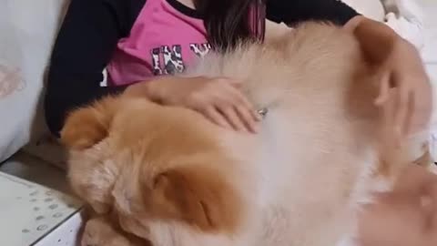 My sister is my best friend. Dog trend video.