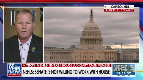 Rep Nehls: I can't in my right mind allow this admin. to destroy our country for another minute