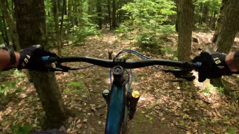 Mountain Biking