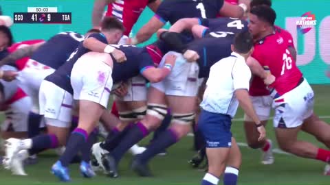 Scotland vs Tonga | Match Highlights | Autumn Nations Series