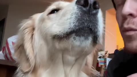 Learning to Speak My Dog's Language