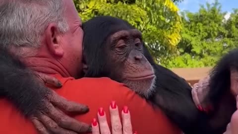 Orangutan meets owner again after many years