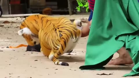 Fake tiger prank on monkey | dog prank | dog vs tiger prank | fake tiger prank