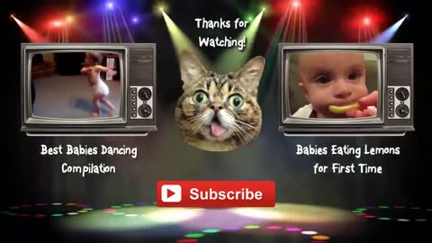 Funny Babies Laughing Hysterically at Dogs Compilation