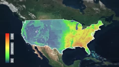 WHY 80 % AMERICANS LIVE EAST OF THIS LINE ☝️