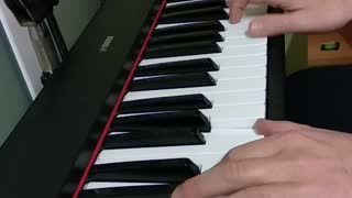 Play piano with my parrot