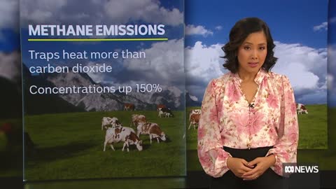 The need to reduce methane emissions to achieve climate change targets