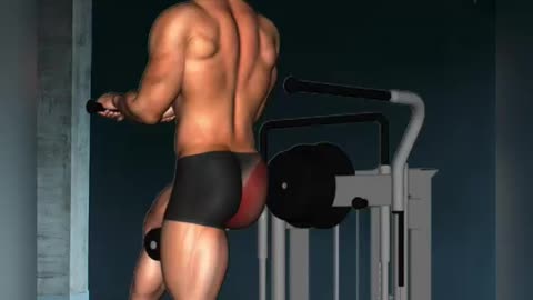 Glutes Workout Exercises For Men And Women