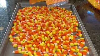 willCANDYCORNmeltintheheat#candycorn#halloween#fyp