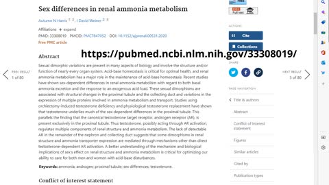 Literature Review: Sex Differences in Renal Ammonia Metabolism