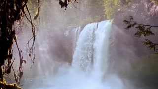 McKenzie River Trail Falls, Oregon, USA