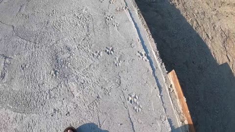 Cement Pad