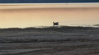 Meredith Lake Texas