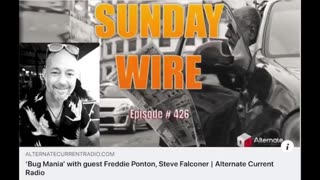 Sunday Wire _Bug Mania_ with Spacebusters & Freddie Ponton