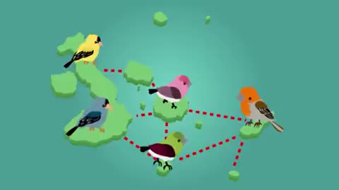 Theory of evolution video