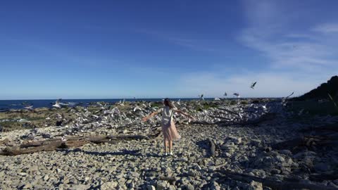 The sky there is the ultimate blue remade of New Zealand video