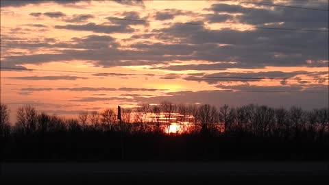 Treeline Sunset