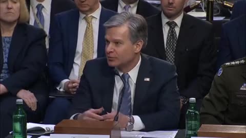 FBI Director Christopher Wray admits the federal government is "not able to keep tabs"