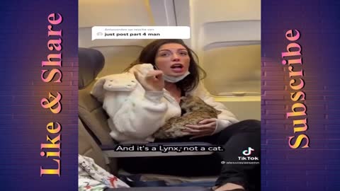Woman thrown out for breast feeding Cat on Plane (Part 4 )
