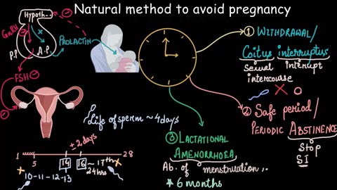 Natural methods of contraception | Reproductive health | Biology |