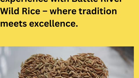 Cultivated Wild Rice