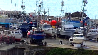 Our Fishing Port: