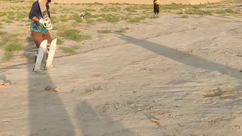 Hard Ball Cricket practice in my home cricket ground