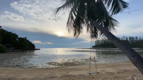 The beauty of palm beach……….enjoy!