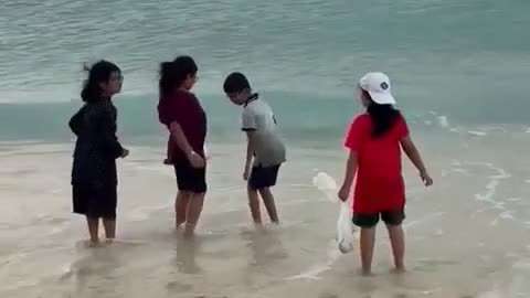 Happiness Comes in Waves ( Best Video of Month 2023)