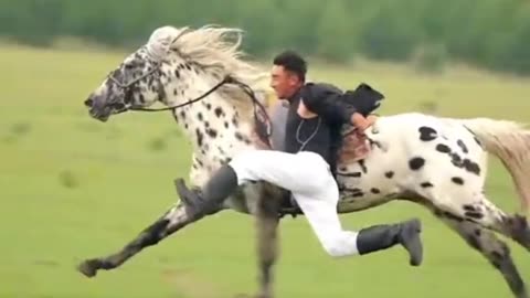 Unbelievable Horse Viral Videos