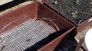 Re-Doing The Wicking Planters