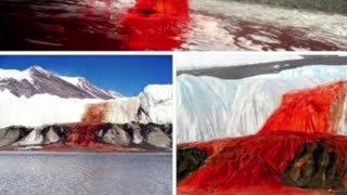 Ships traffic in Antarctica, they don't want you to know what's beyond the ice wall