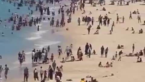 Despite the ongoing conflict, the shores of Gaza remain bustling with people enjoying the beach