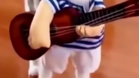 Funny cat vedio so funny cat try to singing