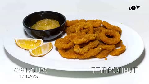 Fried Calamari Rings Time Lapse