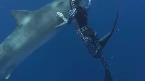 Shark Encounter | Most Dangerous shark #trendingshorts #shark #sharkdive #shorts #short