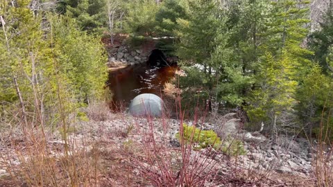 Water Flowing Under Two Bridges