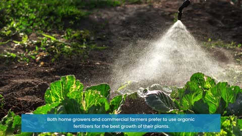 Get The Best Natural Fertilizer for a Vegetable Garden at Impellobio